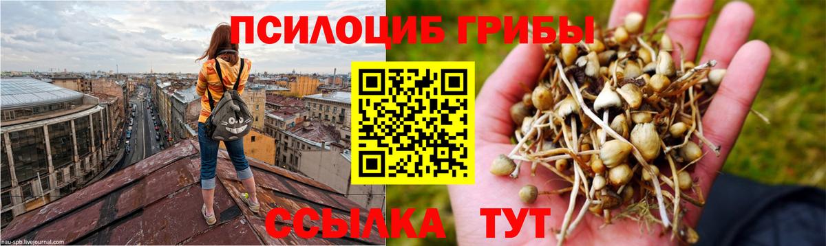Галлюциногенные грибы мицелий  Галлюциногенные грибы Magic Shrooms  Вход с VPN  Нижнекамск 