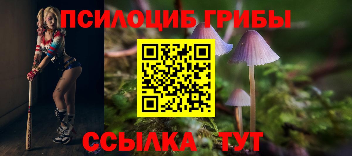 Галлюциногенные грибы прущие грибы Нижнекамск